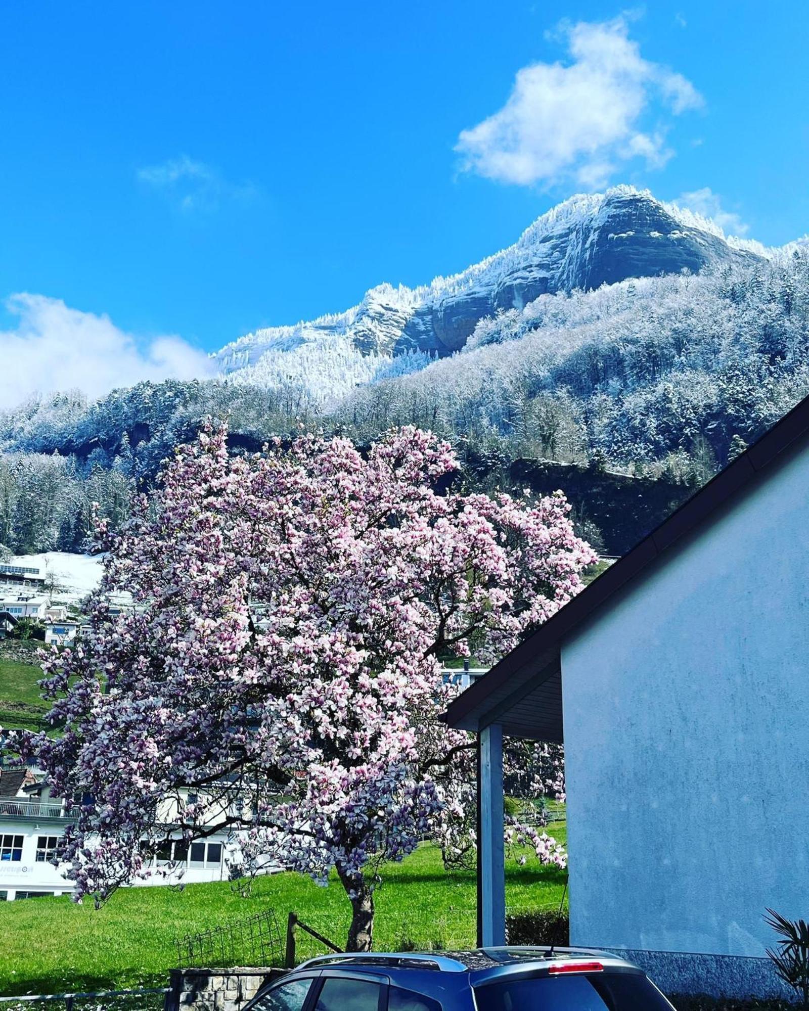 Chalet Oz Vitznau Zewnętrze zdjęcie