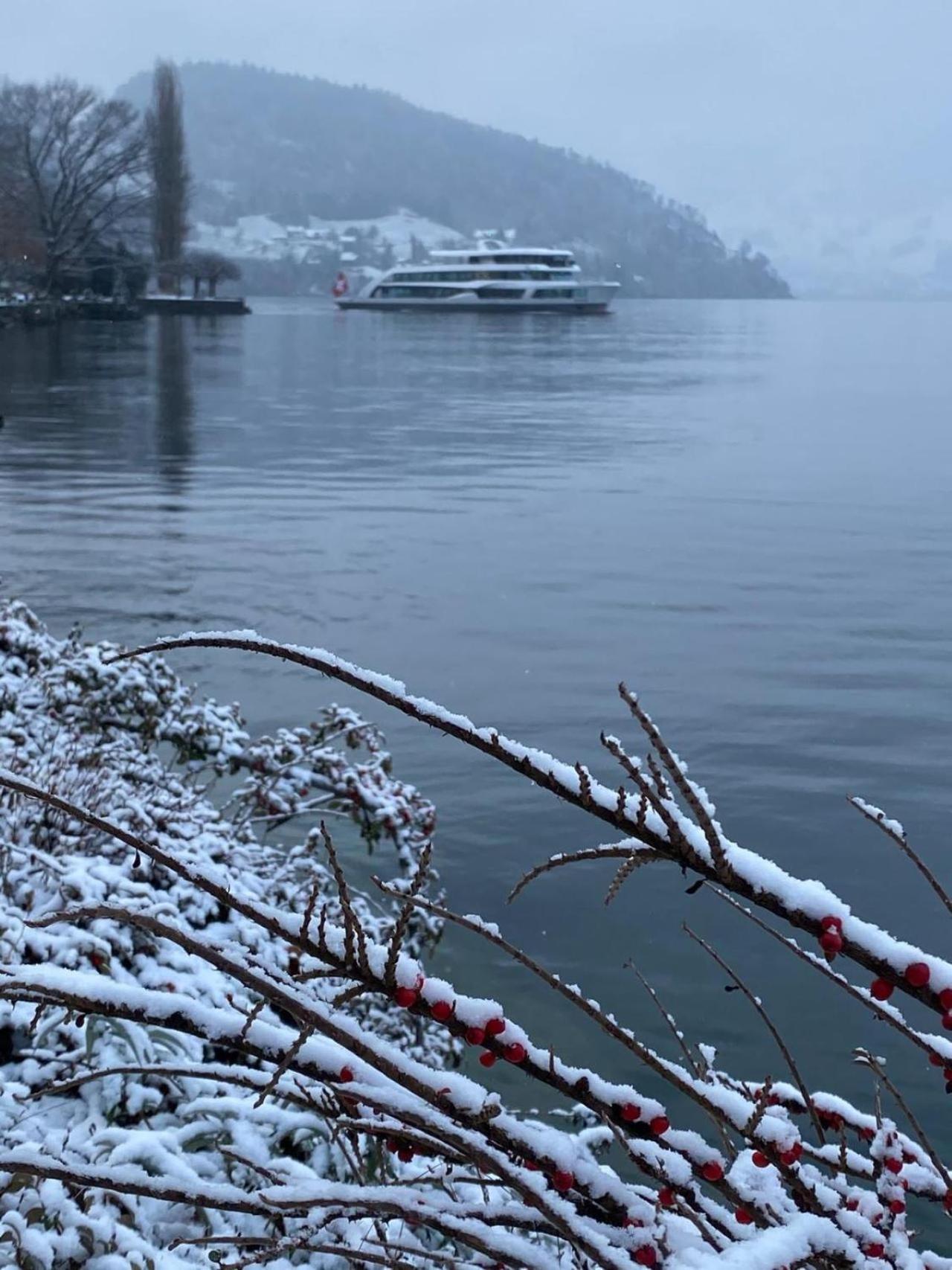 Chalet Oz Vitznau Zewnętrze zdjęcie